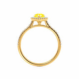 HARLOW - Pear Yellow Sapphire & Diamond 18k Yellow Gold Halo Engagement Ring Lily Arkwright