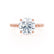 JULANE - Bubble & Bead Solitaire Lab Diamond Engagement Ring 18k Rose Gold Lily Arkwright