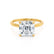 PARIS - Asscher Lab Diamond 18k Yellow Gold Petite Hidden Halo