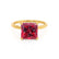 PARIS - Princess Ruby & Diamond 18k Yellow Gold Petite Hidden Halo