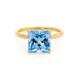 PARIS - Chatham® Princess Aqua Spinel & Diamond 18k Yellow Gold Petite Hidden Halo