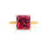 PARIS - Princess Ruby & Diamond 18k Yellow Gold Petite Hidden Halo