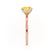 PARIS - Princess Yellow Sapphire & Diamond 18k Rose Gold Petite Hidden Halo