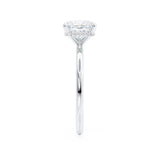 PARIS - Princess Lab Diamond 950 Platinum Petite Hidden Halo