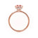 PARIS - Princess Champagne Sapphire & Diamond 18k Rose Gold Petite Hidden Halo