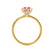 PARIS - Princess Champagne Sapphire & Diamond 18k Yellow Gold Petite Hidden Halo