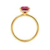 PARIS - Chatham® Princess Ruby & Diamond 18k Yellow Gold Petite Hidden Halo