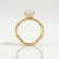 LIVELY - Elongated Cushion Lab Diamond 18k Yellow Gold Petite Hidden Halo Pavé Shoulder Set