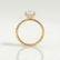 LIVELY - Round Lab Diamond 18k Yellow Gold Petite Hidden Halo Pavé Shoulder Set Ring