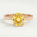 Lottie solitaire engagement ring in 18k rose gold with a round yellow lab-grown sapphire centre stone, front view.