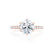 LILLIE LUXE - Round Natural Diamond 18k Rose Gold Shoulder Set Ring Engagement Ring Lily Arkwright