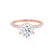 LILLIE LUXE - Round Moissanite & Diamond 18k Rose Gold Shoulder Set Ring Engagement Ring Lily Arkwright