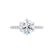 LILLIE LUXE - Round Natural Diamond 18k White Gold Shoulder Set Ring Engagement Ring Lily Arkwright