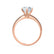 LILLIE LUXE - Round Moissanite & Diamond 18k Rose Gold Shoulder Set Ring Engagement Ring Lily Arkwright