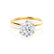 LILLIE - Ready to Ship 1.90ct Round Moissanite 18k Yellow Gold Knife Edge Solitaire