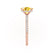 LIVELY - Elongated Cushion Yellow Sapphire 18k Rose Gold Petite Hidden Halo Pavé Shoulder Set Ring