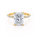 LIVELY - Radiant Natural Diamond 18k Yellow Gold Mico Pavé Hidden Halo Engagement Ring Lily Arkwright
