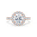 CECILY - Round Lab Diamond 18k Rose Gold Shoulder Set Ring Engagement Ring Lily Arkwright