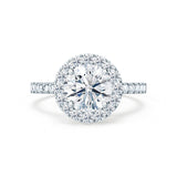 CECILY - Round Moissanite & Diamond Platinum Halo Engagement Ring Lily Arkwright