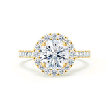 CECILY - Round Natural Diamond 18k Yellow Gold Shoulder Set Ring Engagement Ring Lily Arkwright