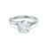 DAHLIA - Round Natural Diamond Solitaire 950 Platinum Split Shank Solitaire Ring