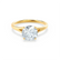 DAHLIA - Round Natural Diamond Solitaire 18k Yellow Gold Split Shank Solitaire Ring