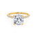 LIVELY - Cushion Natural Diamond 18k Yellow Gold Petite Hidden Halo Pavé Shoulder Set Engagement Ring Lily Arkwright