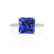 LIVELY - Princess Blue Sapphire 950 Platinum Petite Hidden Halo Pavé Shoulder Set Ring