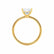 LULU - Asscher Lab Diamond 18k Yellow Gold Petite Solitaire