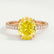 MACY - Oval Yellow Lab Diamond 18k Rose Gold Petite Pavé Shoulder Set Ring