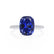 MACY - Elongated Cushion Blue Sapphire 950 Platinum Petite Pavé Shoulder Set Ring