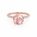 MACY - Round Champagne True Sapphire 18k Rose Gold Petite Pavé Shoulder Set Ring