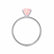 MACY - Round Champagne True Sapphire 18k White Gold Petite Pavé Shoulder Set Ring