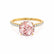 MACY - Round Champagne True Sapphire 18k Yellow Gold Petite Pavé Shoulder Set Ring