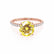 MACY - Round Yellow Sapphire 18k Rose Gold Petite Pavé Shoulder Set Ring
