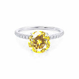 MACY - Chatham® Round Yellow Sapphire 18k White Gold Petite Pavé Shoulder Set Ring