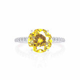 MACY - Chatham® Round Yellow Sapphire 950 Platinum Petite Pavé Shoulder Set Ring