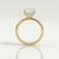 PARIS - Asscher Lab Diamond 18k Yellow Gold Petite Hidden Halo