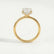 Paris elongated cushion lab diamond hidden halo 18k yellow gold engagement ring
