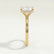 Paris elongated cushion lab diamond hidden halo 18k yellow gold engagement ring