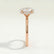 Paris oval lab diamond hidden halo 18k rose gold engagement ring
