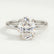Paris oval lab diamond hidden halo 18k white gold platinum engagement ring