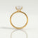 PARIS - Princess Lab Diamond 18k Yellow Gold Petite Hidden Halo