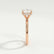 PARIS - Round Lab Diamond 18k Rose Gold Hidden Halo