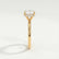 PARIS - Round Lab Diamond 18k Yellow Gold Hidden Halo