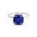 PARIS - Cushion Blue Sapphire & Diamond 950 Platinum Petite Hidden Halo