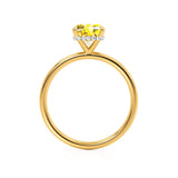 PARIS - Chatham® Cushion Yellow Sapphire & Diamond 18k Yellow Gold Petite Hidden Halo