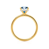 PARIS - Chatham® Cushion Aqua Spinel & Diamond 18k Yellow Gold Petite Hidden Halo