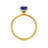 PARIS - Cushion Blue Sapphire & Diamond 18k Yellow Gold Petite Hidden Halo