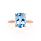 PARIS - Chatham® Elongated Cushion Aqua Spinel & Diamond 18k Rose Gold Petite Hidden Halo